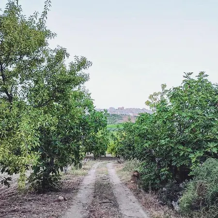 Dimora Virone Paradiso 公寓 *