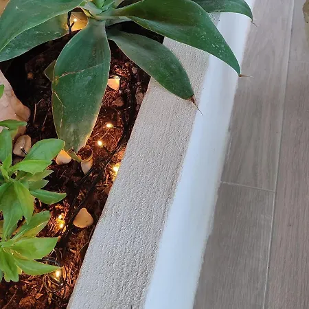 公寓 Dimora Virone Paradiso *