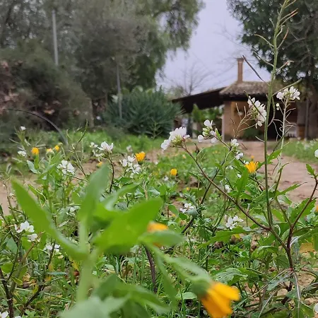 Dimora Virone Paradiso