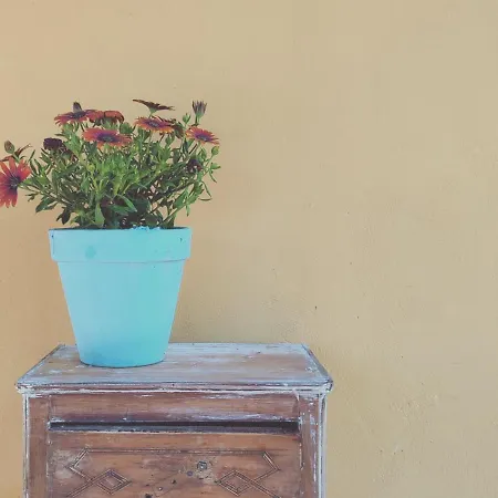 Dimora Virone Paradiso *