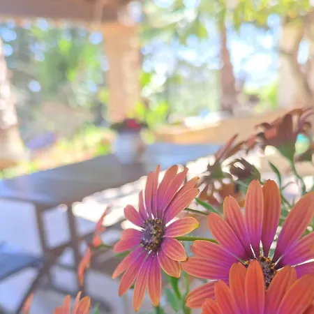 Dimora Virone Paradiso 公寓