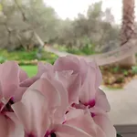Dimora Virone Paradiso Διαμέρισμα Naro