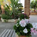 Dimora Virone Paradiso Naro