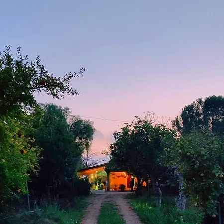 Dimora Virone Paradiso *