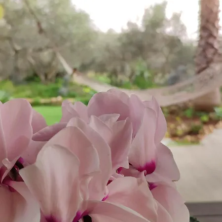 Dimora Virone Paradiso アパート Naro