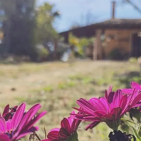Apartmán Dimora Virone Paradiso *