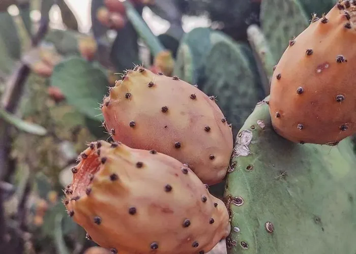 Dimora Virone Paradiso Lägenhet