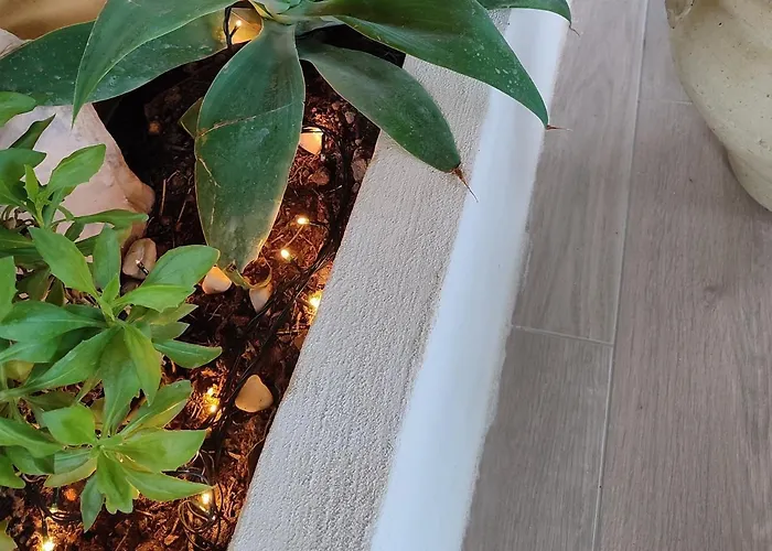 Lägenhet Dimora Virone Paradiso *