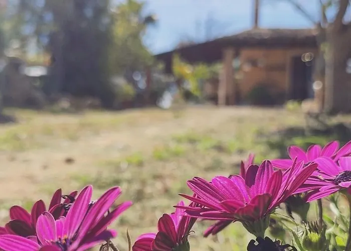 Lägenhet Dimora Virone Paradiso *