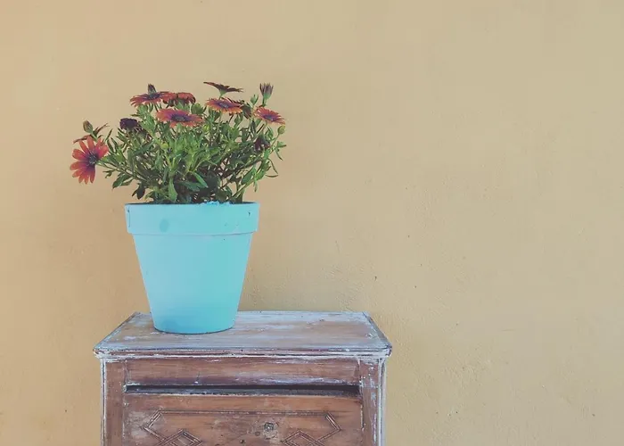 Dimora Virone Paradiso *