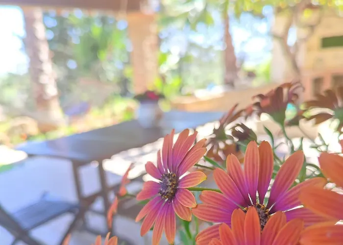 Dimora Virone Paradiso Lägenhet