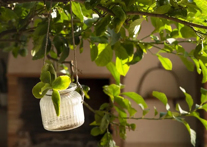 Dimora Virone Paradiso *